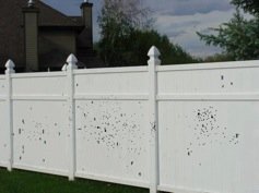 fence holes