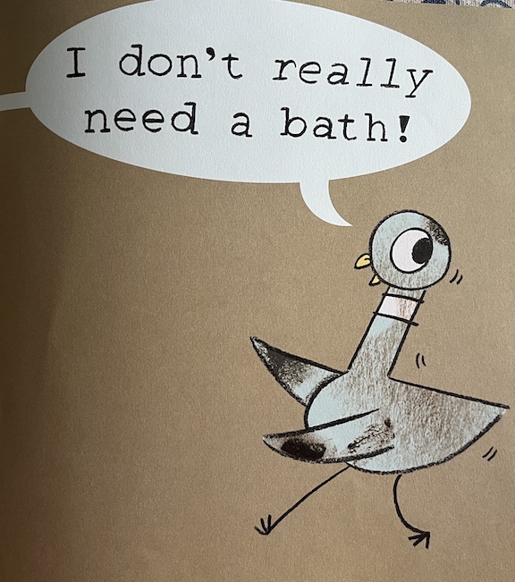 pigeon bath book & lesson